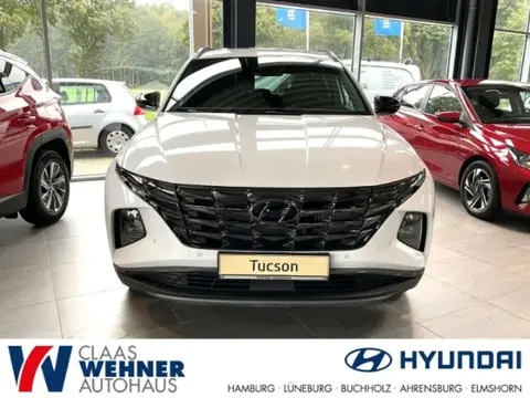 Used HYUNDAI TUCSON Petrol 2024 Ad 