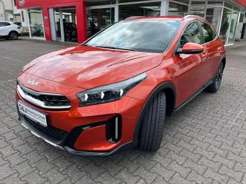 Annonce KIA XCEED Essence 2024 d'occasion 