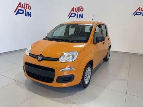 Used FIAT PANDA Petrol 2019 Ad 