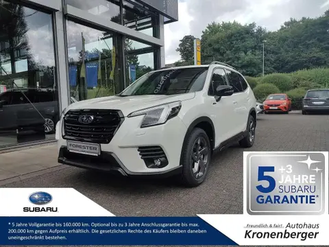 Annonce SUBARU FORESTER Essence 2024 d'occasion 