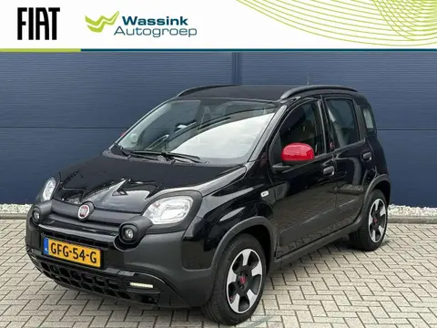 Used FIAT PANDA Hybrid 2022 Ad 