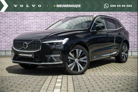 Used VOLVO XC60 Hybrid 2023 Ad 