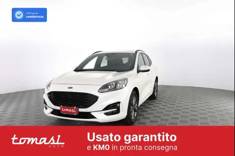 Used FORD KUGA Hybrid 2023 Ad 