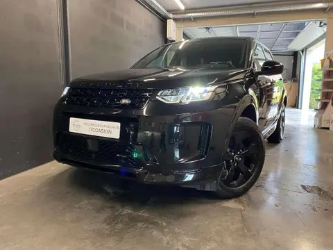 Annonce LAND ROVER DISCOVERY Diesel 2022 d'occasion 