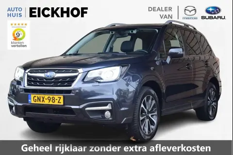 Used SUBARU FORESTER Petrol 2019 Ad 