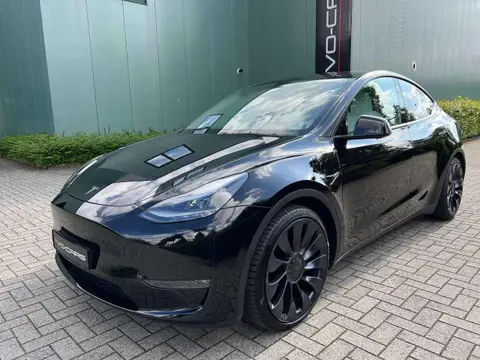 Used TESLA MODEL Y Electric 2023 Ad 