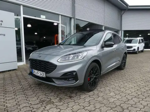 Annonce FORD KUGA Hybride 2023 d'occasion 