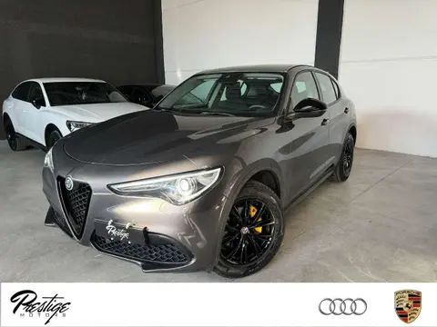 Annonce ALFA ROMEO STELVIO Diesel 2019 d'occasion 