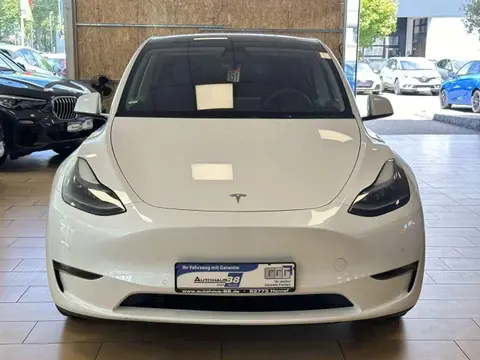 Used TESLA MODEL Y Electric 2022 Ad 