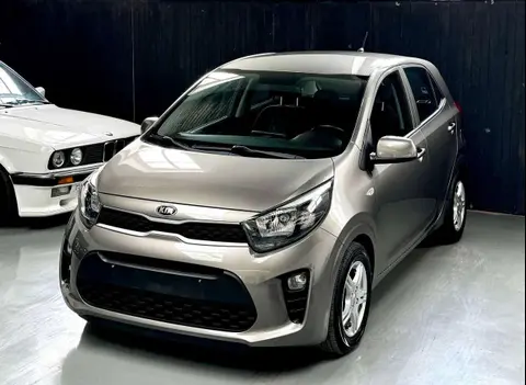 Used KIA PICANTO Petrol 2017 Ad 