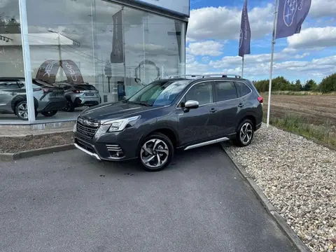 Used SUBARU FORESTER Hybrid 2024 Ad 