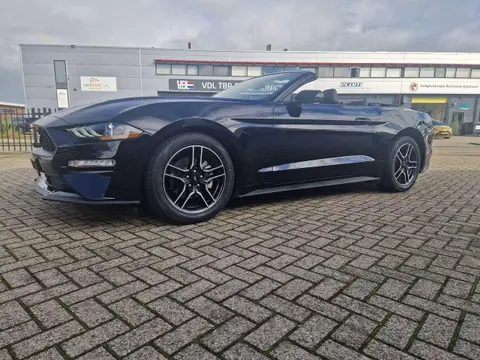 Annonce FORD MUSTANG Essence 2019 d'occasion 