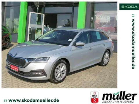 Annonce SKODA OCTAVIA Diesel 2022 d'occasion 