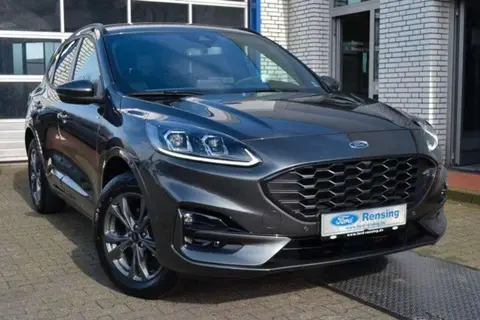 Annonce FORD KUGA Hybride 2023 d'occasion 