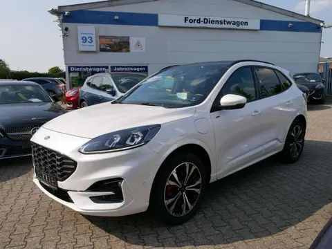 Used FORD KUGA Hybrid 2023 Ad 