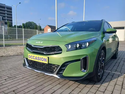 Used KIA XCEED Petrol 2023 Ad Belgium