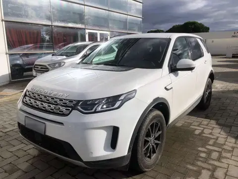 Used LAND ROVER DISCOVERY Diesel 2021 Ad 