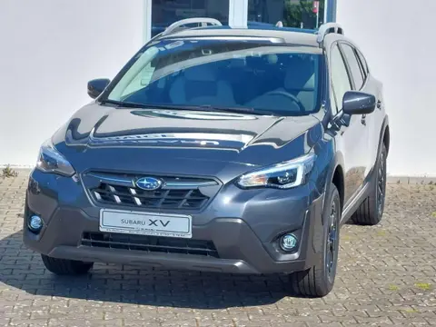 Annonce SUBARU XV Essence 2023 d'occasion 