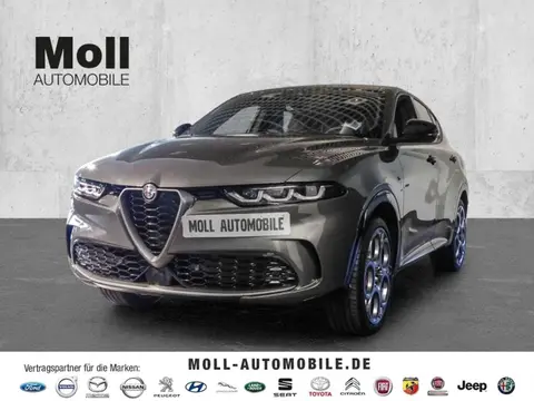 Used ALFA ROMEO TONALE Hybrid 2023 Ad 