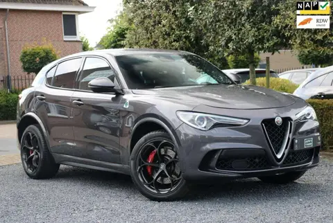 Used ALFA ROMEO STELVIO Petrol 2018 Ad 