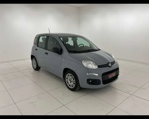 Used FIAT PANDA Hybrid 2020 Ad 