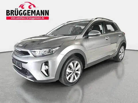 Used KIA STONIC Petrol 2024 Ad 