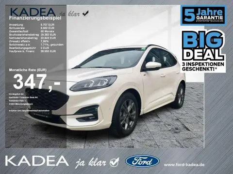 Used FORD KUGA Diesel 2023 Ad 