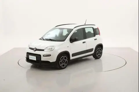 Annonce FIAT PANDA Hybride 2022 d'occasion 