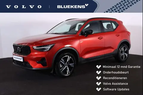 Annonce VOLVO XC40 Essence 2024 d'occasion 