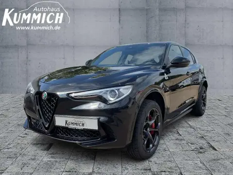 Used ALFA ROMEO STELVIO Petrol 2023 Ad Germany