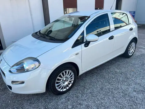 Used FIAT PUNTO Diesel 2017 Ad 