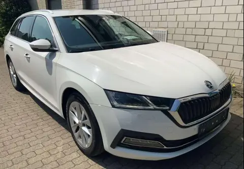 Annonce SKODA OCTAVIA Diesel 2020 d'occasion 