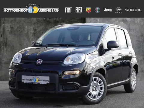 Annonce FIAT PANDA Essence 2024 d'occasion 