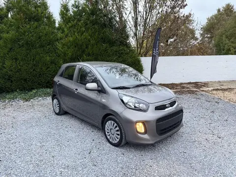 Annonce KIA PICANTO Essence 2016 d'occasion 