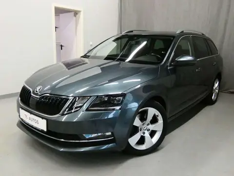 Annonce SKODA OCTAVIA Diesel 2020 d'occasion 