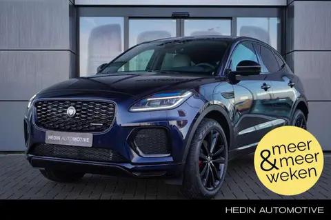 Used JAGUAR E-PACE Hybrid 2024 Ad 