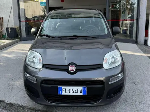 Used FIAT PANDA Petrol 2017 Ad 