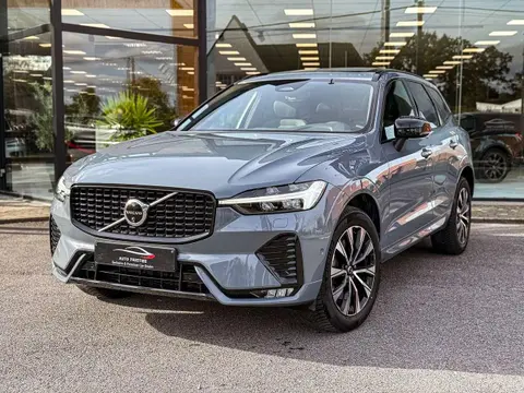 Annonce VOLVO XC60 Diesel 2023 d'occasion 