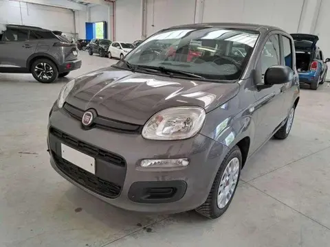 Annonce FIAT PANDA Essence 2019 d'occasion 