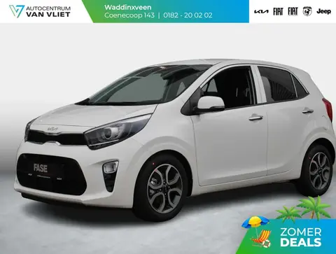 Annonce KIA PICANTO Essence 2023 d'occasion 