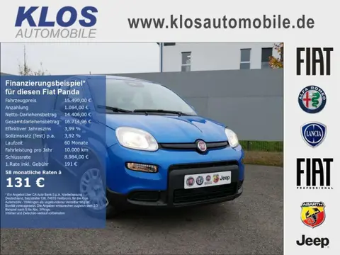 Used FIAT PANDA Petrol 2024 Ad 