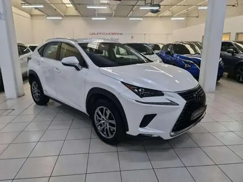 Used LEXUS NX Hybrid 2020 Ad 