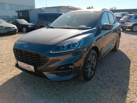 Used FORD KUGA Petrol 2023 Ad 