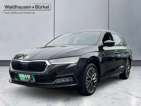 Annonce SKODA OCTAVIA Diesel 2024 d'occasion 