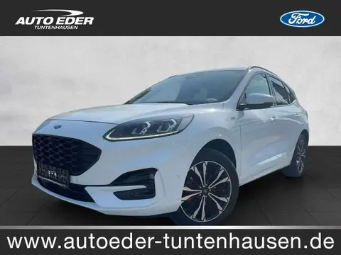 Annonce FORD KUGA Hybride 2021 d'occasion 