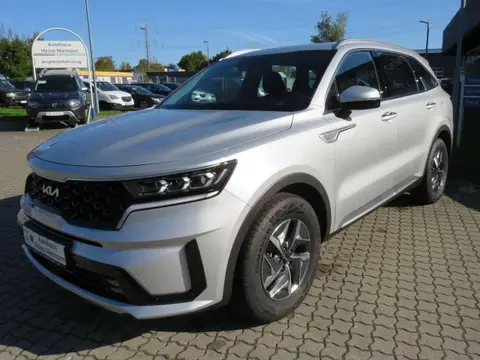 Used KIA SORENTO Hybrid 2023 Ad 