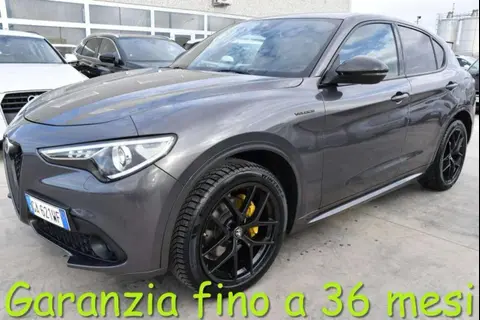 Used ALFA ROMEO STELVIO Diesel 2020 Ad 