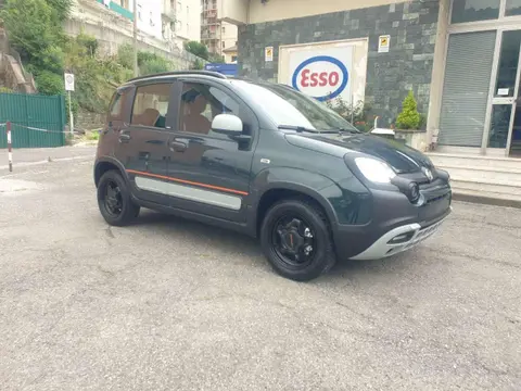 Used FIAT PANDA Hybrid 2024 Ad 