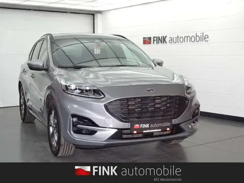 Used FORD KUGA Hybrid 2023 Ad 