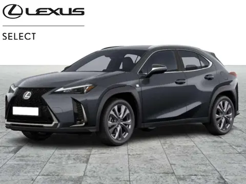 Annonce LEXUS UX Hybride 2024 d'occasion 